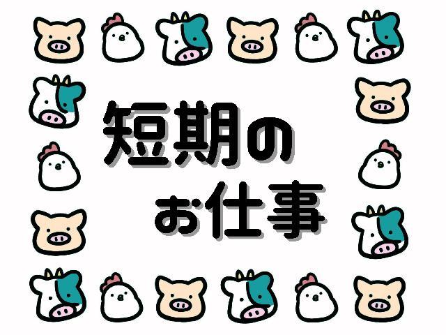 ＜2ヶ月間 短期＞週2日～ ★日勤or夜勤♪アマゾン倉庫での商品仕分け（FD21）